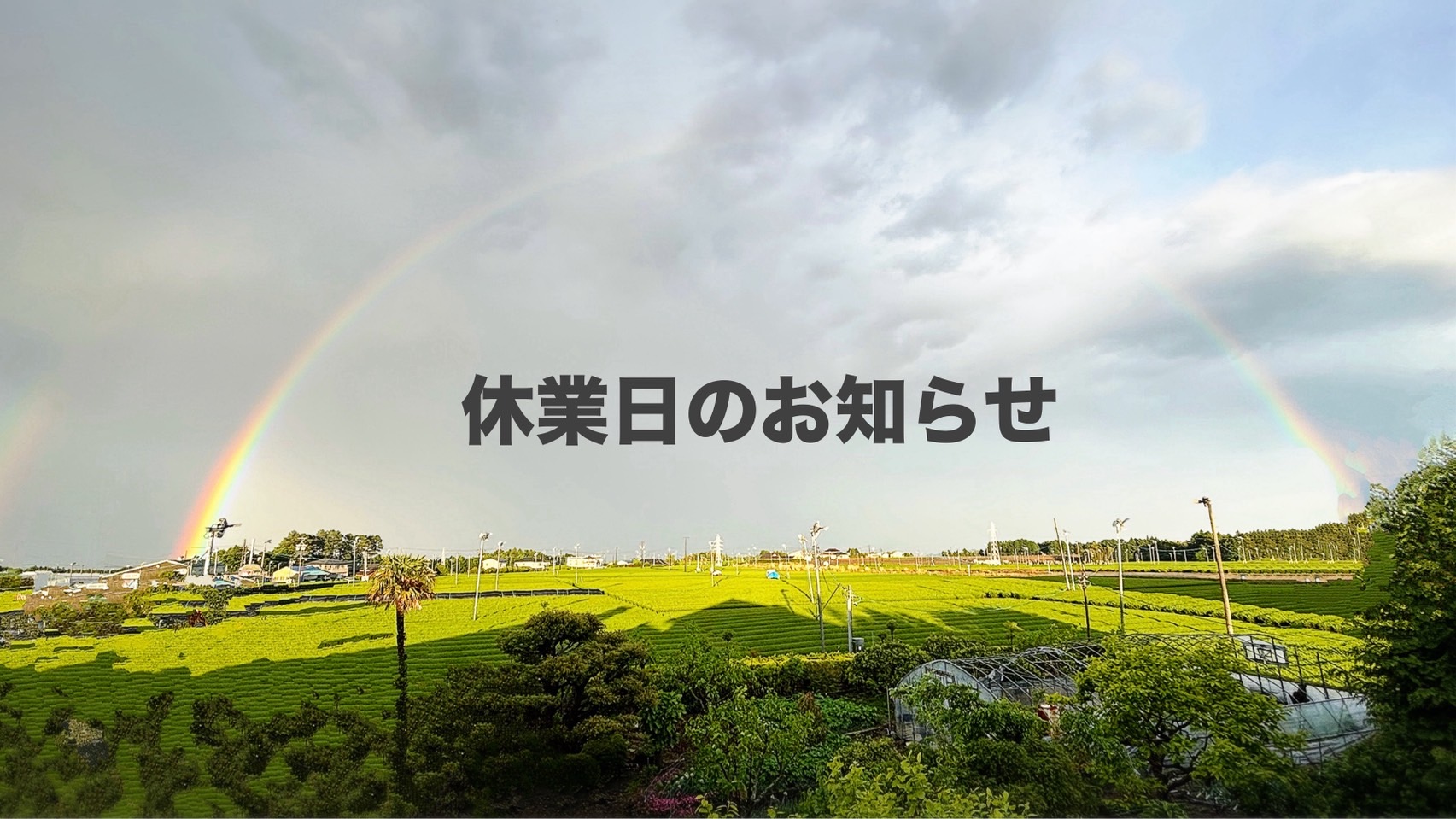 スタジオアーヴィス